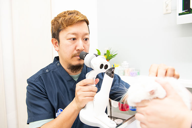 セカンドオピニオン