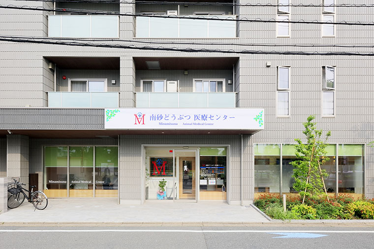 外観